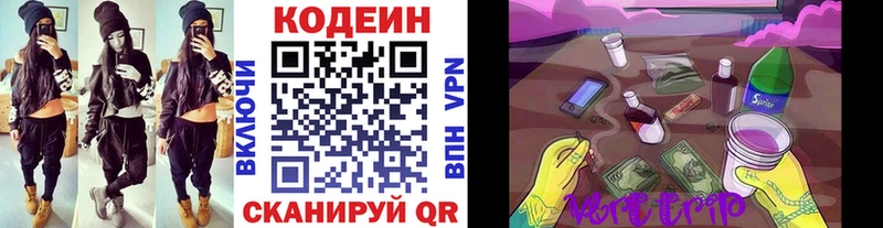 где купить   Бакал  Codein Purple Drank 