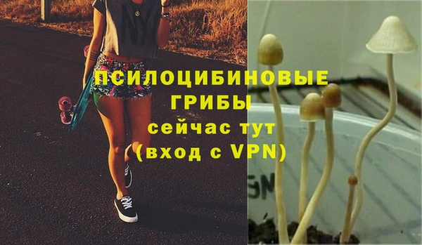гашик Армянск