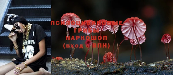 эйфоретик Алексеевка