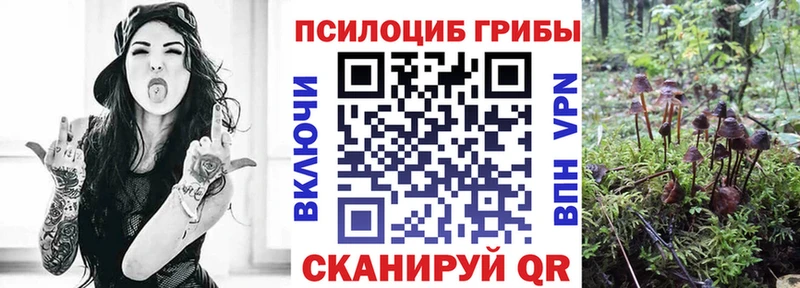 Галлюциногенные грибы Cubensis дарнет шоп Бакал