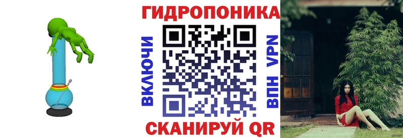 Каннабис конопля  Бакал 